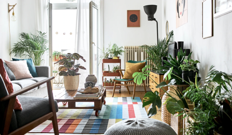 How to Create a Cozy Living Room on a Budget